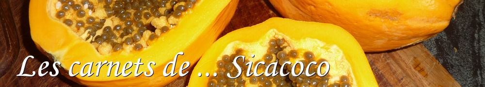 Recettes de Les carnets de ... Sicacoco