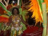 Carnaval de st francois