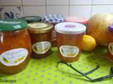 Confiture de melon/pamplemousse/vanille/citron