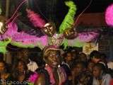 Grande parade nocturne a saint francois ..pour le carnaval