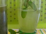 Sirop de menthe maison