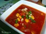 Soupe de salsa epicee et glacee