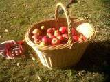 Tarte pommes-poires