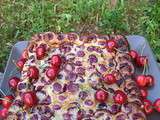 Clafoutis aux cerises