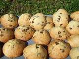 Cookies au lait et au pépites de chocolat