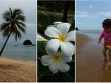 Anaïs blogtrotter en Malaisie #3 l’île de Tioman