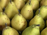 Gâteau très fruité aux poires