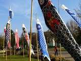 Jour du Koinobori