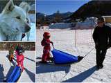 On a découvert le Baby Traineau avec Mushing Addict