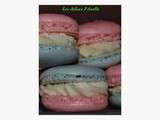 Macarons chocolat blanc framboise