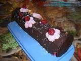 Bûche framboises deux chocolats