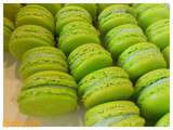 Macarons au cactus