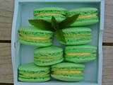 Macarons Mojito