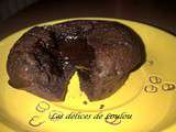 Fondant au chocolat ou comment rebooster son poisson rouge