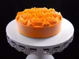 Entremets abricots et Namelaka au chocolat blanc