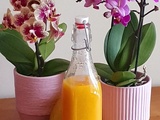 Coulis de mangue 🥭 au thermomix®️