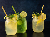 Quel rhum choisir pour ton mojito