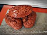 Madeleines tout chocolat