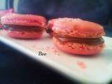 Macarons pralines roses ganache chocolat