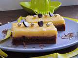 Duo Choc Citron -Brownie