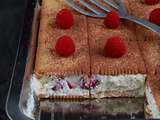 Gâteau de petits-beurre aux framboises