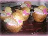 Cupcakes papillons