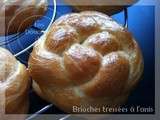 Briochettes tressees a l'anis (ou la fameuse brioche de safre...)