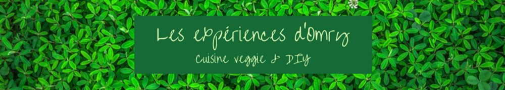 Recettes de Les expériences d'Omry