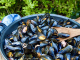 Moules aux encornets et chorizo