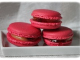 Macaron citron cerise