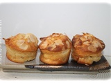 Muffins moelleux aux pommes