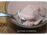 Crème dessert aux fruits rouges (Thermomix )