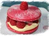 Macaron Vanille framboises