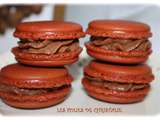 Macarons Gianduja