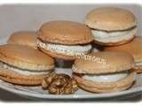 Macarons roquefort noix