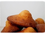 Madeleines Airfryer