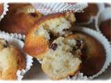 Muffins au lait concentré et raisins secs