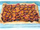 Tarte fine aux quetsches