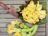 Beignets de fleurs de courge