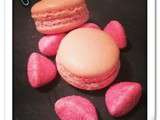 Macarons aux Fraises Tagada qui piquent