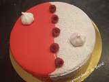 Entremet framboise /chocolat blanc