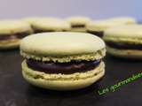 Macarons menthe /chocolat