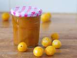 Confiture de mirabelles (60% de fruits)