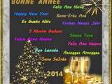 Bonne annee 2014