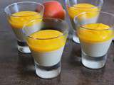 Panna cotta au coulis de mangue