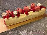 Bûche glacée vanille, meringues et framboises