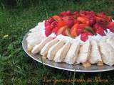 Pavlova d’été