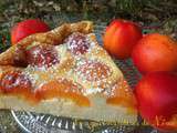 Pudding aux abricots