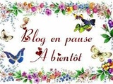 Blog en pause