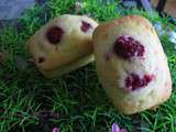 Mini cakes légers aux framboises (aussi pour intolérants au lactose)